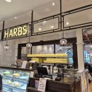 또리케이크 | [나고야] 디저트 맛집 하브스 밀크레이프 케이크 후기 파르코점 HARBS (메뉴 가격 소개)