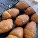 진동산업정미소계량사 | [원주카페] 디저트가 맛있는 애견동반 ‘카페도즈오프’ 후기