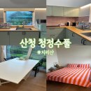 청정수풀 이미지