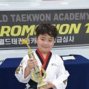 용인대태권도아카데미 이미지