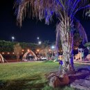 즐거운 애견 | 제주올레캠핑 애견과 함께한 즐거운 제주도캠핑장 후기