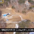 G1156 네이버블로그
