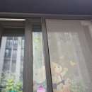 미래어린이집 | 어린이가 미래다! 미래나무 어린이집 유리청소 후기