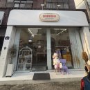 마리데이 | 울산 태화동 소품샵 원데이하루, 행운거북이 입양 후기, 한 마리 300원 🐢💚