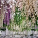 신세계가든 이미지