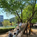 글로벌가정을 위한 학교폭력 예방교육 | 초등학생 학교폭력, 꼭 알아야 할 학폭 이야기 『이것도 학교폭력인가요?』 후기