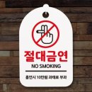 손데코