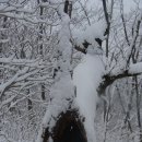 좌석리-고치령-국망봉-비로봉-삼가야영장 이미지