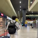 Bullet Train | 로마에서 피렌체 더몰 이동방법, 더몰 아울렛 꿀팁 구찌, 프라다, 보테가(택스리펀 파리공항)