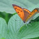 만나공원 이미지