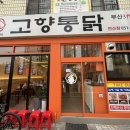 |부산 고향통닭 연산점| 치킨이 맛있는 부산연산동맛집추천