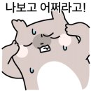 카페레슬리