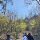 김가네구가네 이미지