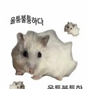 스노우의원 | [블챌감자] 편평사마귀 아이스제거 내돈내산 후기-스노우의원 안산점