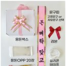 돈벼락마트 이미지