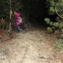 모란카센타 이미지