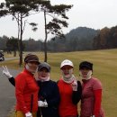 한국의료기상사 이미지