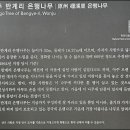 원주 반계리 800년 은행나무 이미지