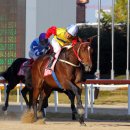 우승목장 이미지