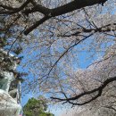 청사포로 | [부산] 해운대 블루라인파크 해변열차 탑승 후기 &amp; 예매/주차 꿀팁