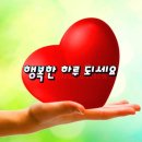 개팔자상팔자 - 안산시 단원구 석수로4길 15 | 개팔자상팔자