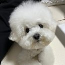 러브몽먼트 이미지