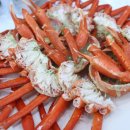 속초대게나라홍게마을 이미지