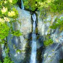 싱그러운청도로(가을) 이미지