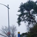선바위역 5번 출구 이미지