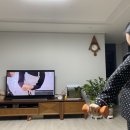 정미야식 이미지