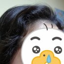 살롱윈썸