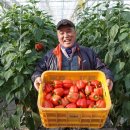 샬롬오리농장 이미지