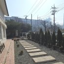 피자하우스&카페 | 청주 복대동 브런치 카페 화덕피자 맛집 뵈르뵈르하우스 내돈내산