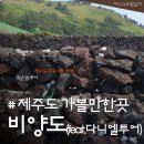 옵서투어