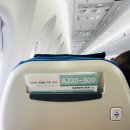 1717 | 대한항공 A220-300, 좌석간격, 엔터테인먼트, KE1717, 국내선 편도 후기 (go to jeju island :D)