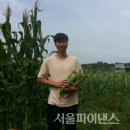 동춘농장 이미지