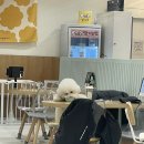 칠백상회