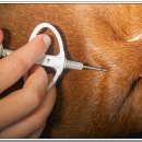 전주가축약품 이미지