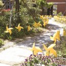 동산초등길 이미지