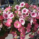 이삭토스트 중랑역점 이미지