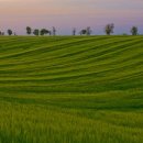 극락둑길 이미지