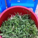 순옥농장 이미지