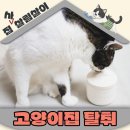 엠앤케이 | 고양이 집에서 유르테 베이크아웃볼 고체 탈취제를 선택한 이유 장단점