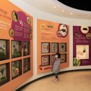 곤충생태관_1 이미지