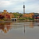 두류공원 이미지