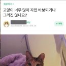 민즈유통 | 2025년 11월(2) - 연남동 데이트, 홍대 방 탈출