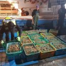 동해-단속-12 이미지