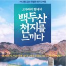 코지의사진과여행