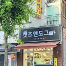 도그 앤 캣츠 이미지