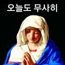 부 산 이미지
